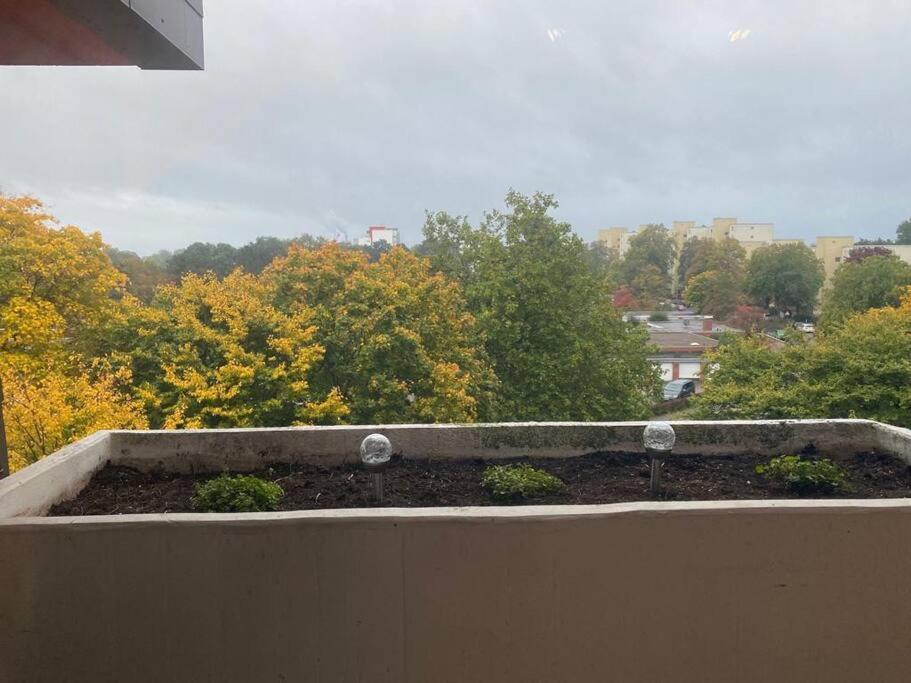Apartment Exklusive In Der Schoenen Stadt Bremen